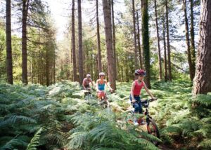 Go-Active Oakdene Forest
